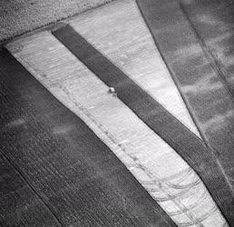 Tájkép - Mezőgazdaság - Légi felvétel a szentesi szántóföldről