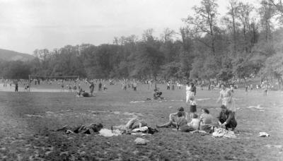 Életkép - Piknikezők a hűvösvölgyi Nagy-réten