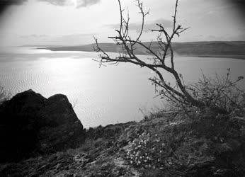 Magyar tájak - A Balaton északi partja