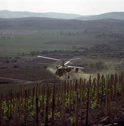 Mezőgazdaság - Növényvédelem - Helikopteres permetezés Hegyalján
