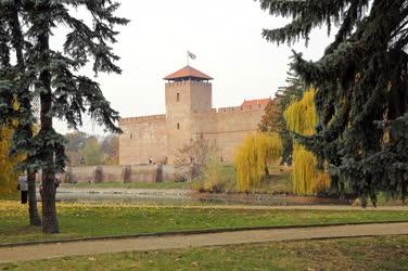 Gyula - A gyulai vár 
