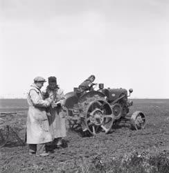 Mezőgazdaság - Életkép - Traktoros lány
