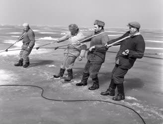 Mezőgazdaság - Jég alatti halászat a Balatonon