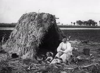 Mezőgazdaság - Vidéki élet 1920-30 - Dinnyés paraszt