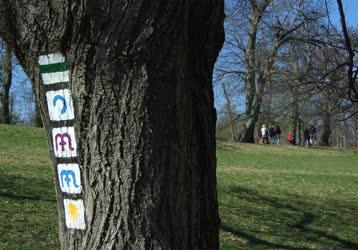 Természet - Budapest - Turista jelzések a budai hegyekben