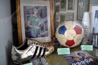 Sport - Múzeum - Sportmúzeum az Albert Stadionban