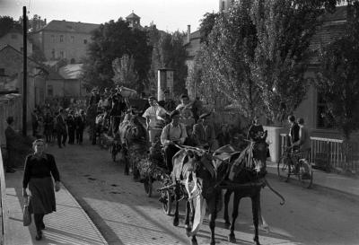 A szerző válogatása - Szüreti bál Egerben