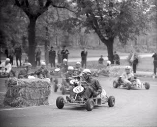 Sport - Nemzetközi go-kart verseny a Népligetben