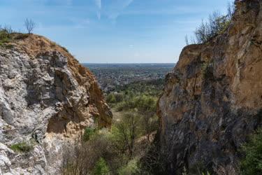 Természet - Budapest - Róka-hegyi kőfejtő