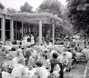 Vendéglátás - Casino Bistro