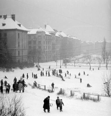 Városkép-életkép - Szánkózók Budapesten