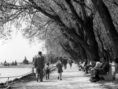 Balatoni képek - A füredi Tagore sétány