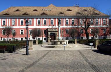 Városkép - Vác - Az egykori püspöki palota