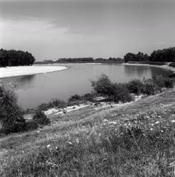 A szerző válogatása - a Felső-Tisza