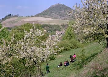 Időjárás - Tavasz a Dunakanyarban