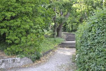 Természet - Budapest - Sétány a Jókai-kertben