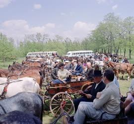 Turizmus - Külföldi turisták Bugacon