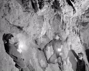 Természet - A felsőtárkányi cseppkőbarlangban