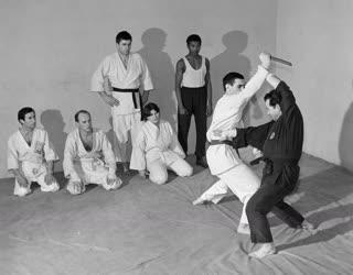 Karate edzés - Testnevelési Főiskola