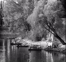 Természet-környezet - A győri Rába-part