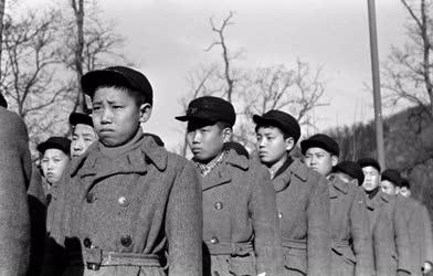 Ifjúság - Koreai úttörők 