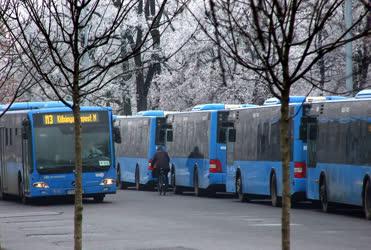 Közlekedés - Budapest - Pótlóbuszok a Népligetben