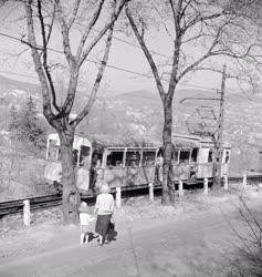 Közlekedés - Fogaskerekű vasút a Szabadság-hegyen
