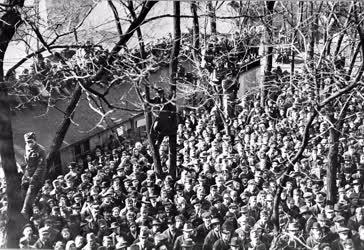 Történelem - 1919 - Tiltakozás a letartóztatot kommunistákért