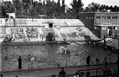 Sport - Vízilabda mérkőzés a  margitszigeti Sportuszodában