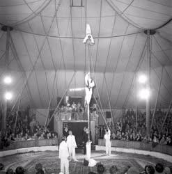 Szórakozás - Cirkuszi előadás - Jászberény
