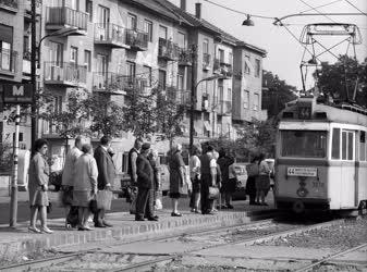 Budapesti képek - A zuglói piac