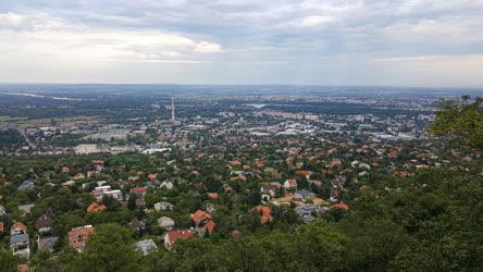 Természet - Budapest - Hármashatár-hegy