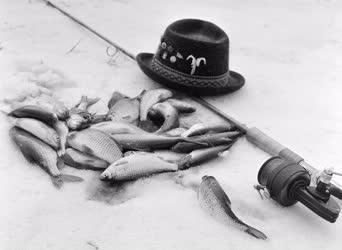 Hobbi - Horgászat