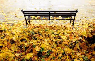 Időjárás - Debrecen - Esős ősz 