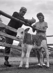 Mezőgazdaság - Balázs Ilona agrármérnök gyakornok