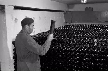 Export - Negyvennyolc országba szállít magyar bort a MONIMPEX