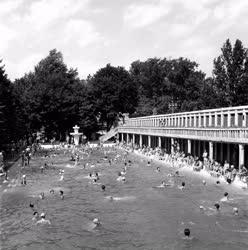 Szabadidő - A Csillaghegyi Strand