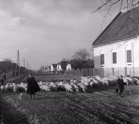 A szerző válogatása - Buzsák