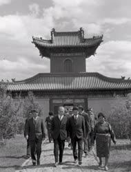 Külpolitika - Fock Jenő Mongóliában