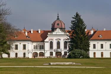 Épület - Gödöllő - A Grassalkovich-kastély