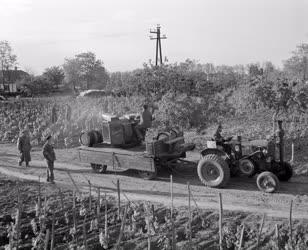 Mezőgazdaság - Géppel permetezik a szőlőt