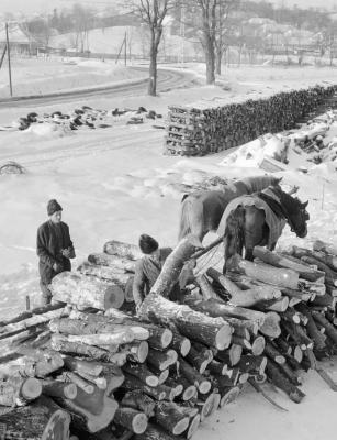 Természet - Időjárás - Tél a Bakonyban