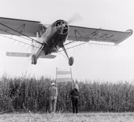 Mezőgazdaság - Kender repülőgépes gyomírtása