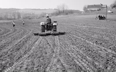 Mezőgazdaság - Tavaszi munkák a somogyi földeken