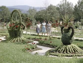 Idegenforgalom - Szabadidő - Mátrafüredi park