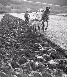 Mezőgazdaság - Koratavaszi munkák - Szántás