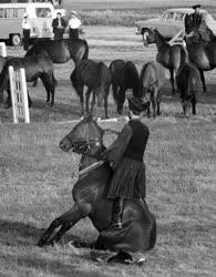 Szórakozás - A hortobágyi lovasnapokon