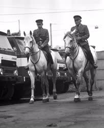 Rendőrség - Az utolsó lovak Budapesten