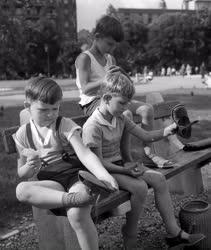 Szabadidő - Életkép - Gyerekek egy fővárosi parkban