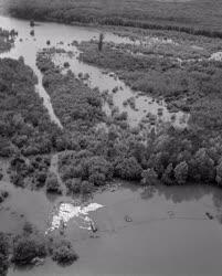 Katasztrófavédelem - Árvíz a Duna-folyó alsó szakaszán
